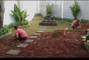 Tukang Taman Ciputat